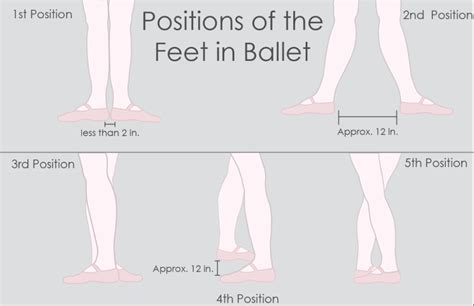 turnout ballet definition: The intricate turn-out of the legs is not only a physical feat but also a symbol of grace and poise in ballet.